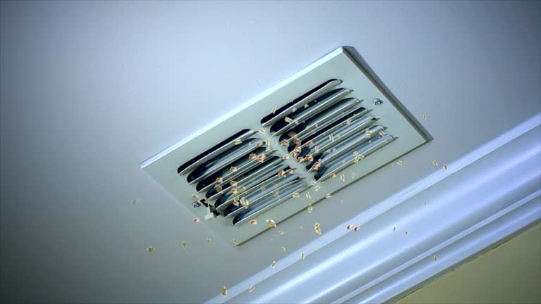 Best HVAC System Cleaning  in Jasper, TX