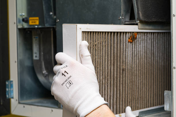 Best Home Air Vent Cleaning  in Jasper, TX